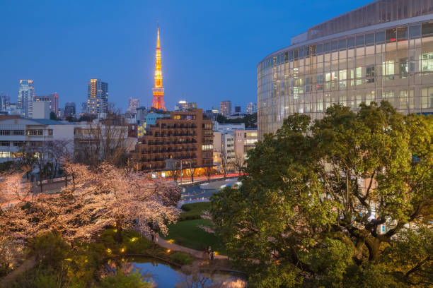 istock Tokyo tower and Sakura cherry blossom 840803856