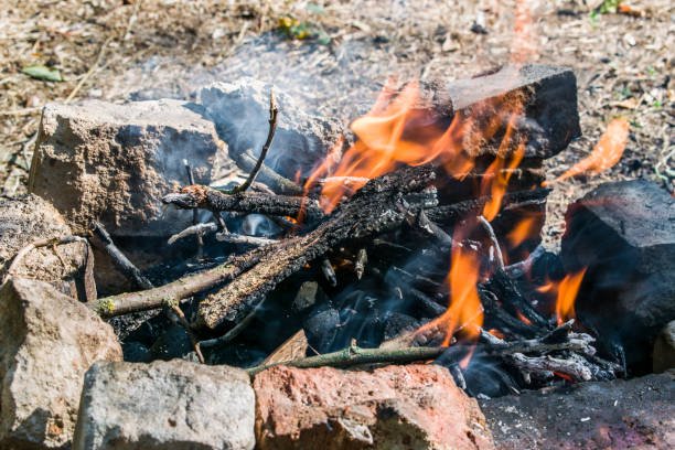 istock Bonfire, divorced in the forest. Very hot fire 840810380