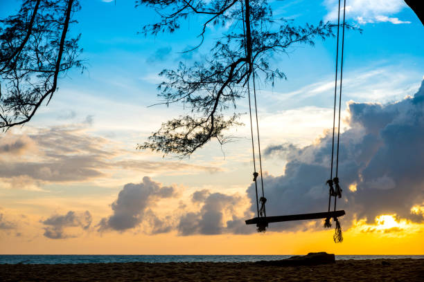 istock Swings under a tree by the sea at sunset. 840814726