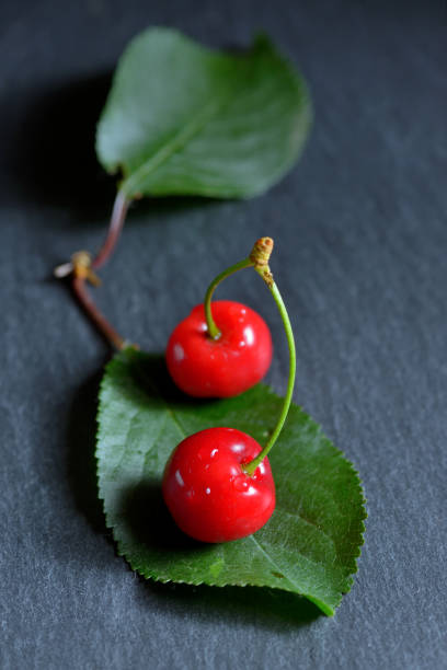 istock Sweet cherries and  leaf on ardesia plate 840815658