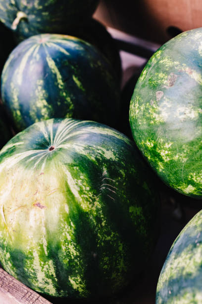 istock Watermelons in box for sale 840825494