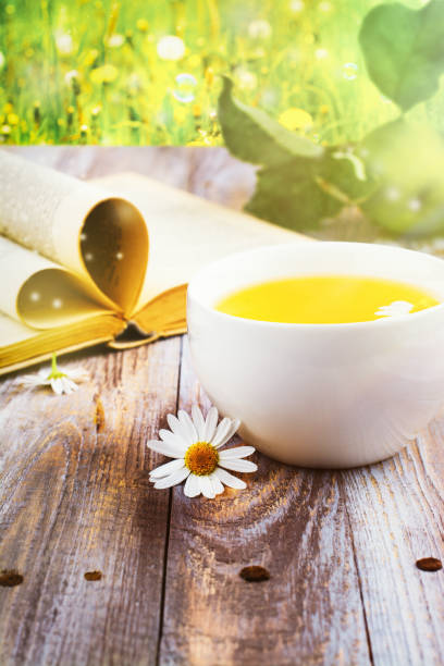 istock Cup of herbal tea and old book 840826296