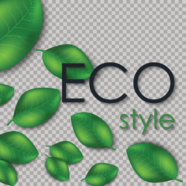 istock Eco the inscription of the leaves isolated on transparent background. Leaves design elements. Eco style. 840827216
