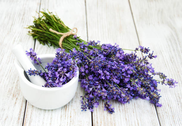 racimo de lavanda - mortar and pestle wood healthcare and medicine jar fotografías e imágenes de stock