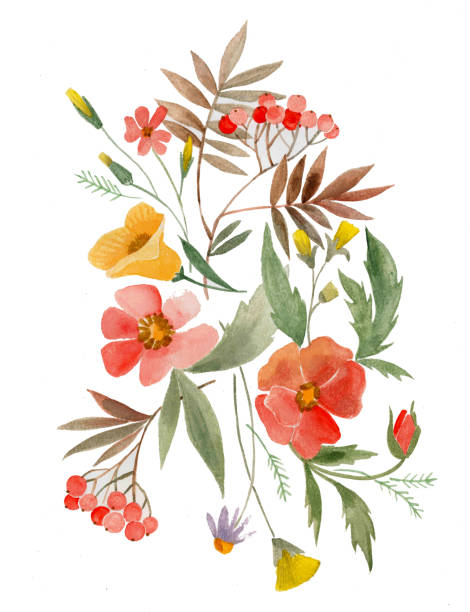istock Botanical illustration, composition, watercolor flowers poppies and lilies 840835492