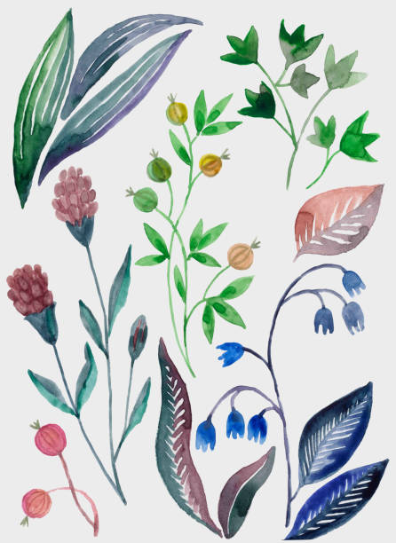 istock Botanical illustration, watercolor set of flowers and leaves 840841272