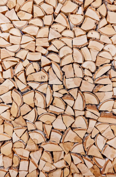 istock Wooden background of shattered tree trunks 840841672