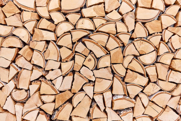 istock Wooden background of shattered tree trunks 840841676