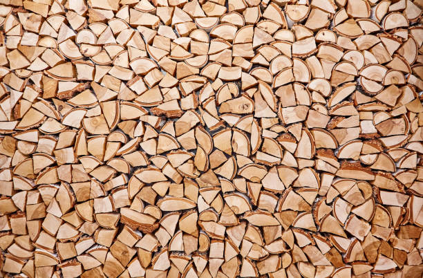 Wooden background of shattered tree trunks
