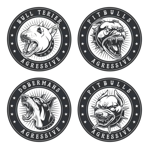 Set of angry dogs icon elements Set of angry dogs icon elements. All elements is on the separate layer. pitbull graphic stock illustrations