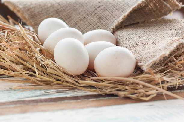 istock Organic white eggs on vintage wooden background. 840850696