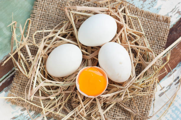 istock Organic white eggs on vintage wooden background. 840850714