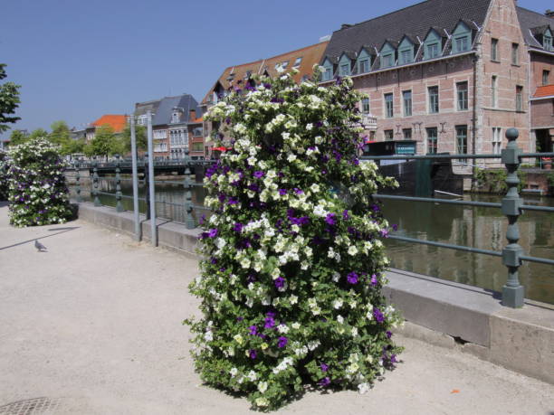 istock Bridge in Mechelen in Belgium 840854794