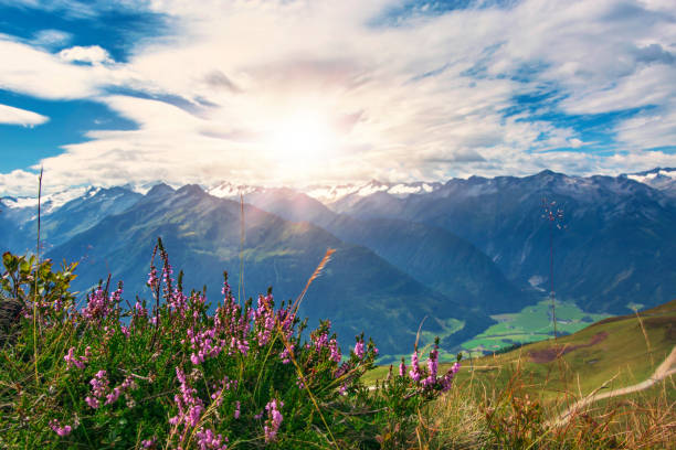 istock Hiking Paths in the Wildkogel Arena 840855236