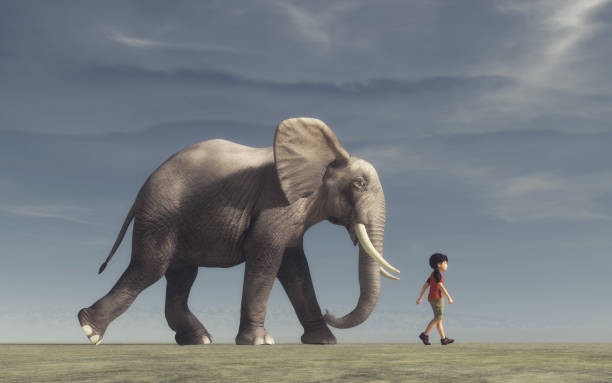 istock The boy goes and a big elephant 840855368