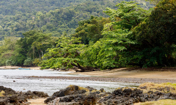 istock beach in Masoala forest reserve, Madagascar 840858362