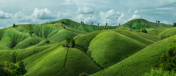 istock Agricultural Green corn field on hill with blue sky 840858472