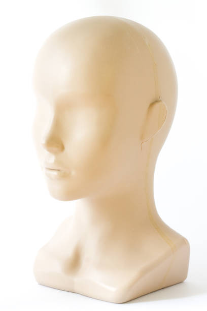 Bald Head Of A Mannequin On A White Background Stock Photo - Download Image  Now - Bust - Sculpture, Head, Mannequin - iStock