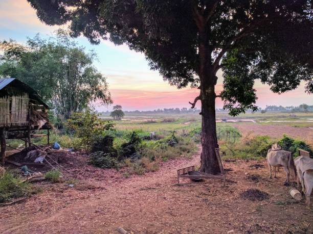 istock view of central cambodian countryside 840861400