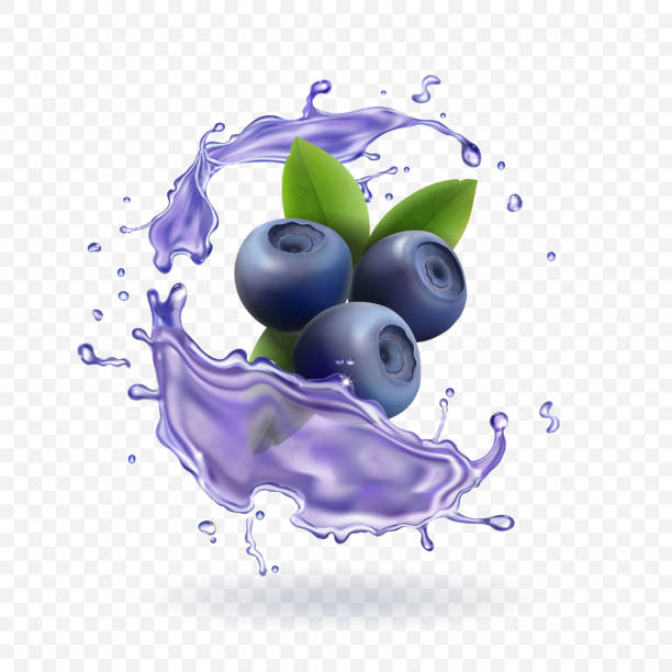 Blueberry juice Realistic Vector illustration. Blueberry berry juice splash Realistic Vector illustration. bilberry fruit stock illustrations