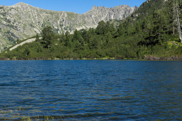 istock Amazing Landscape with Fish Vasilashko lake, Pirin Mountain 840865580