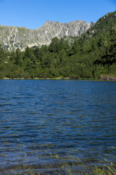 istock Amazing Landscape with Fish Vasilashko lake, Pirin Mountain 840865660