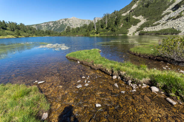 istock Amazing Landscape with Fish Vasilashko lake, Pirin Mountain 840866106