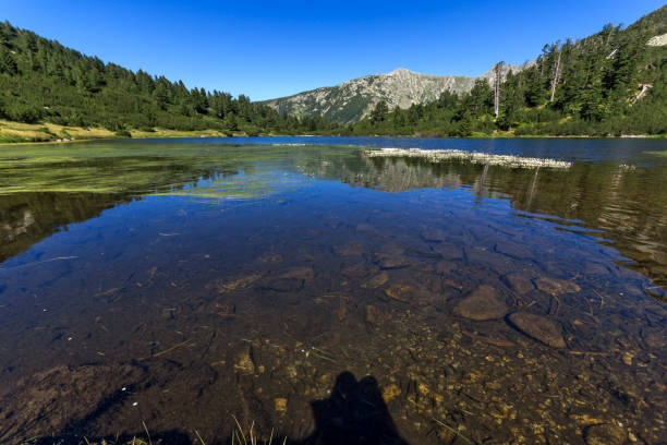 istock Amazing Landscape with Fish Vasilashko lake, Pirin Mountain 840866514