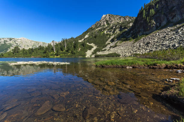 istock Amazing Landscape with Fish Vasilashko lake, Pirin Mountain 840866716
