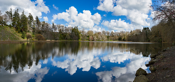 Clouds reflect on a calm lake in Cambridge, New Zealand