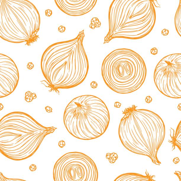 ilustraciones, imágenes clip art, dibujos animados e iconos de stock de patrón transparente bastante esbozado de cebolla dibujado a mano. - onion