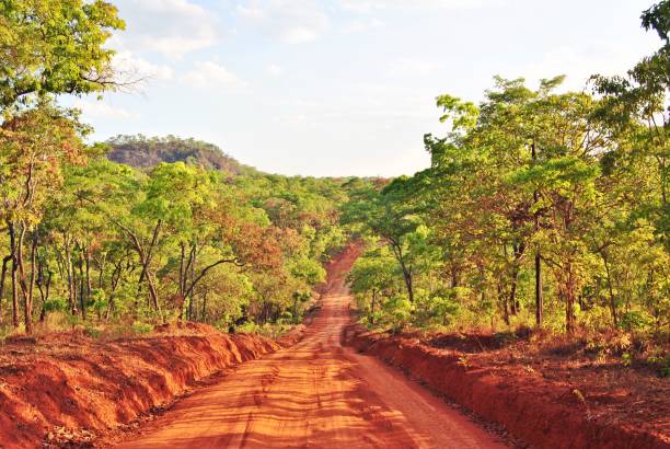 Road through the wilderness of northern Mozambique Mavago district in Niassa province of northern Mozambique. One of the last remaining true wilderness areas. mozambique stock pictures, royalty-free photos & images