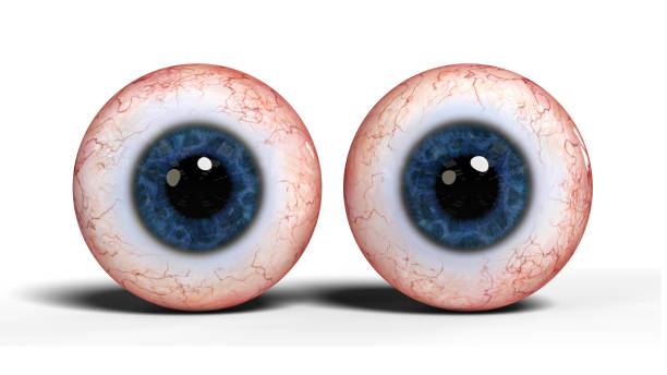 istock two realistic human eyes with blue iris, isolated on white background 840874416