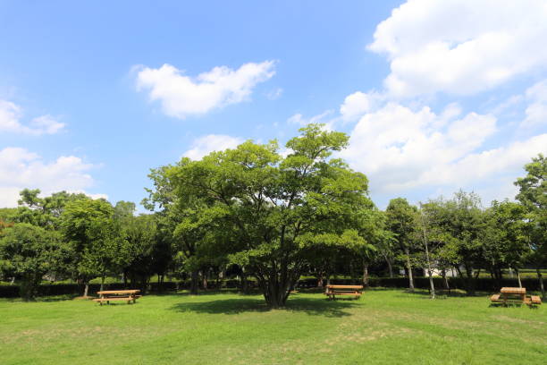 istock park and blue sky in Japan 840879112