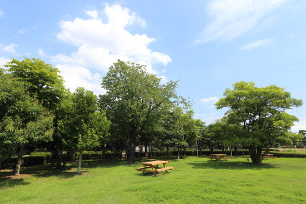 istock park and blue sky in Japan 840879292