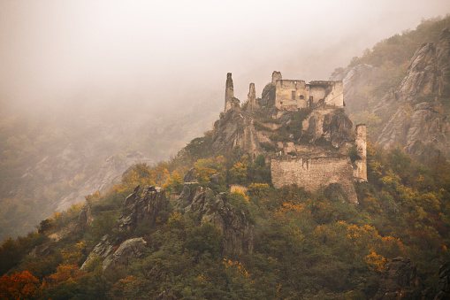 view of historic castle ruin on Danube river, colorful autumn. Wachau valley, Lower Austria region, Austria