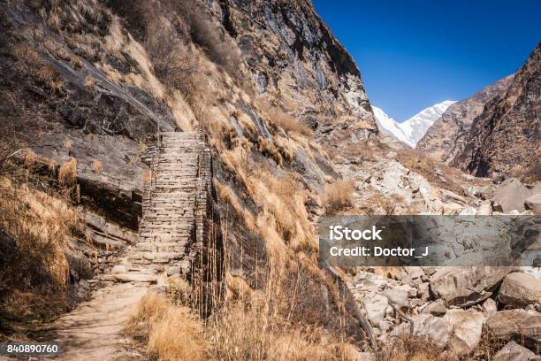 Trail To The Mbc On The Annapurna Base Camp Trek Nepal Stock Photo - Download Image Now