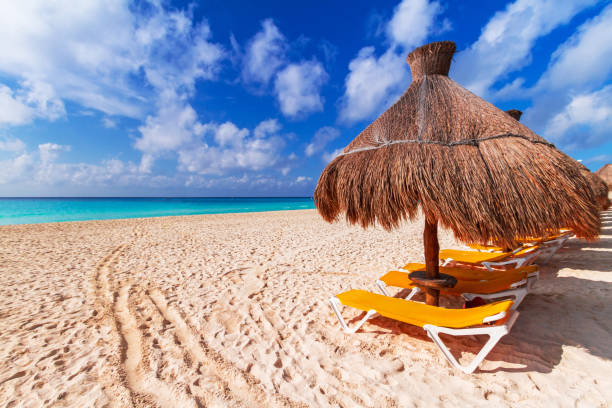 istock Beach at Caribbean sea 840895946