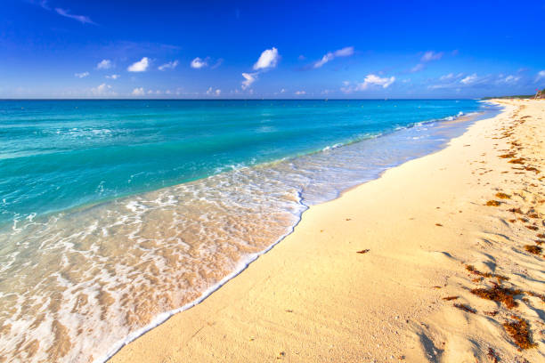 istock Beach at Caribbean sea 840895958
