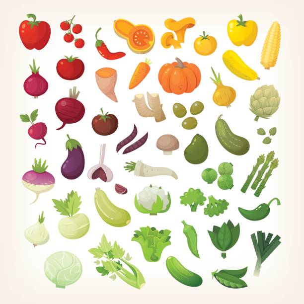 illustrazioni stock, clip art, cartoni animati e icone di tendenza di verdure in layout arcobaleno - leaf vegetable broccoli spinach vegetable