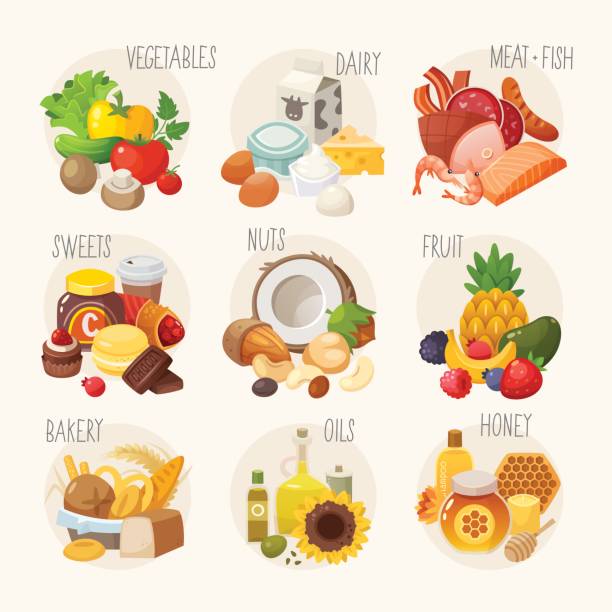 Organic food categories. Set of labels with categories of different products grouped under one theme. Vector signs for a grocery store or some kind of market place. categories vector stock illustrations