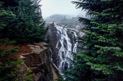 This is the picture of Myrtle fallas in a foggy day at Mt Rainier National Park, Seattle, Washington.