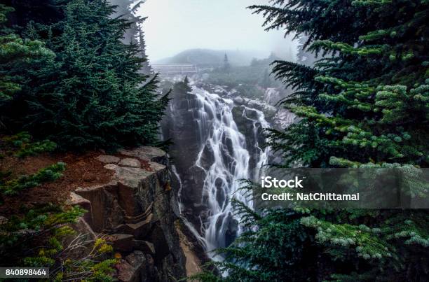 Foggy Myrtle Falls Creek Stock Photo - Download Image Now - Seattle, Nature, Waterfall