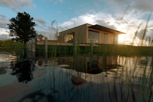 3d rendering of wooden house with flat roof at nature from the water surface of pond