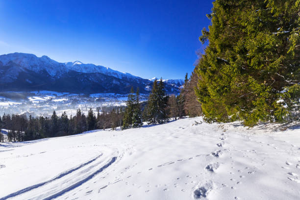 istock Zakopane at Tatra mountains in winter 840901650
