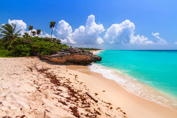 istock Beach at Caribbean sea in Playa del Carmen 840904996