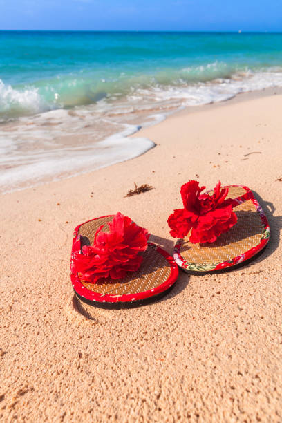 istock Holidays at the Caribbean beach 840907570