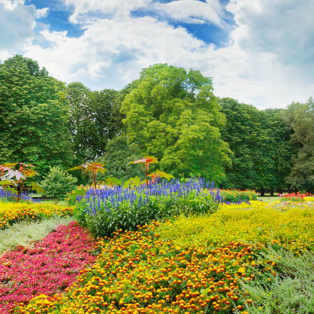 summer park with beautiful flowerbeds