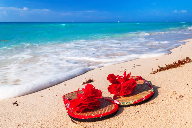 istock Holidays at the Caribbean beach 840907730