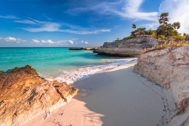 プラヤ ・ デル ・ カルメンにカリブ海のビーチ - yucatan travel tropical climate mexico ストックフォトと画像